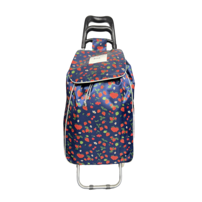 TC010-BLUE TC010-BLUE